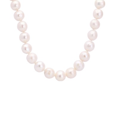 CO PEBT12 BOIA OA 18K**