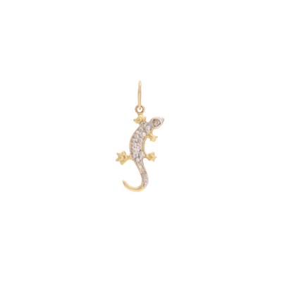 PI SALAMANDRA 1B OA 18K**